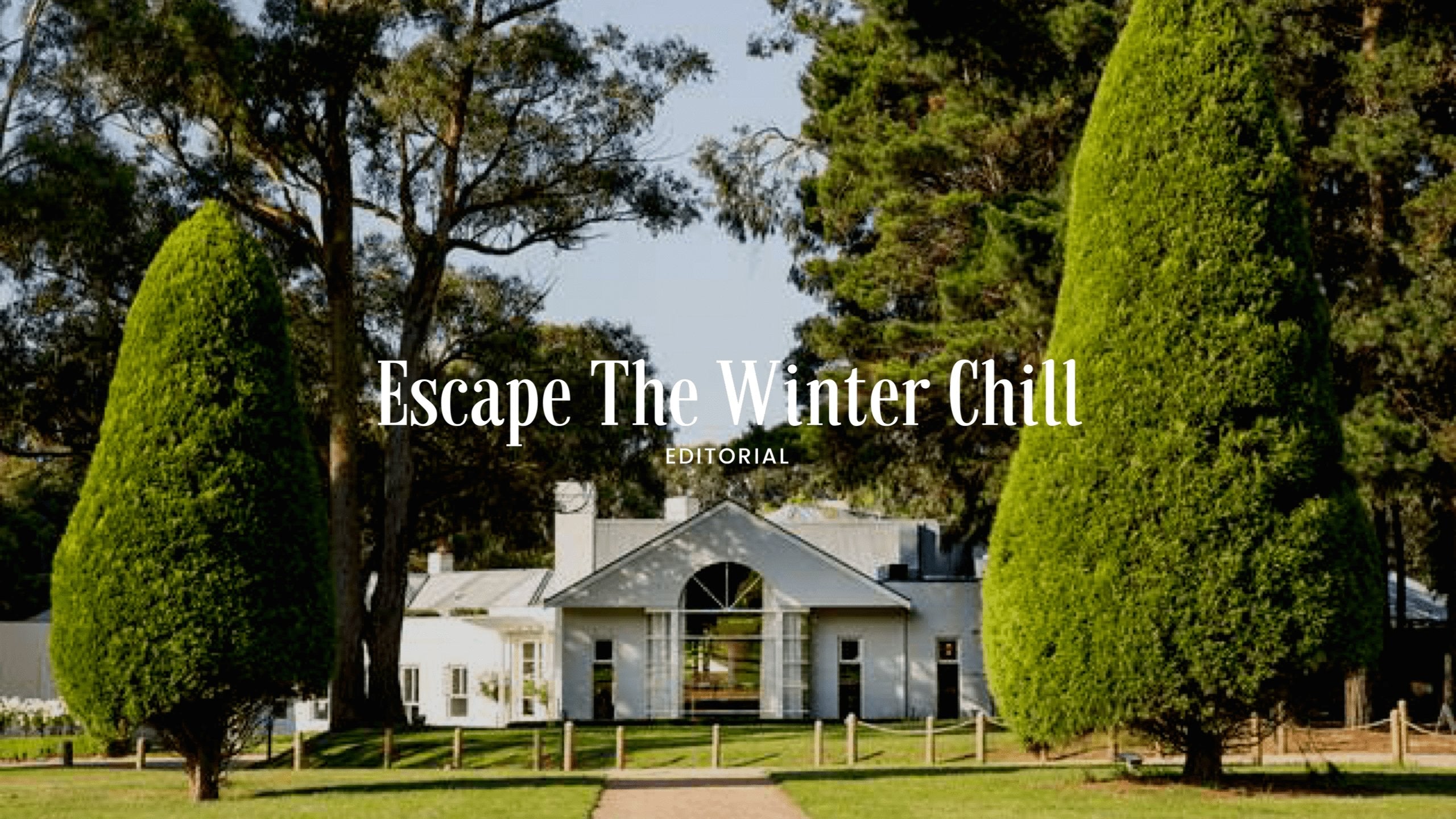 Escape the Winter Chill - Menzclub