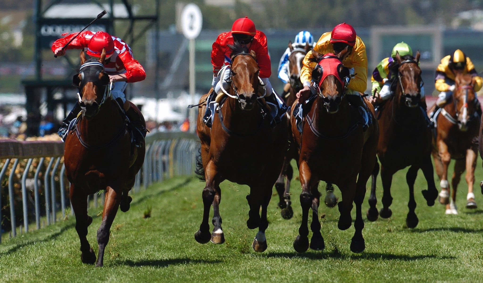 Spring Racing Carnival Men's Fashion - Menzclub
