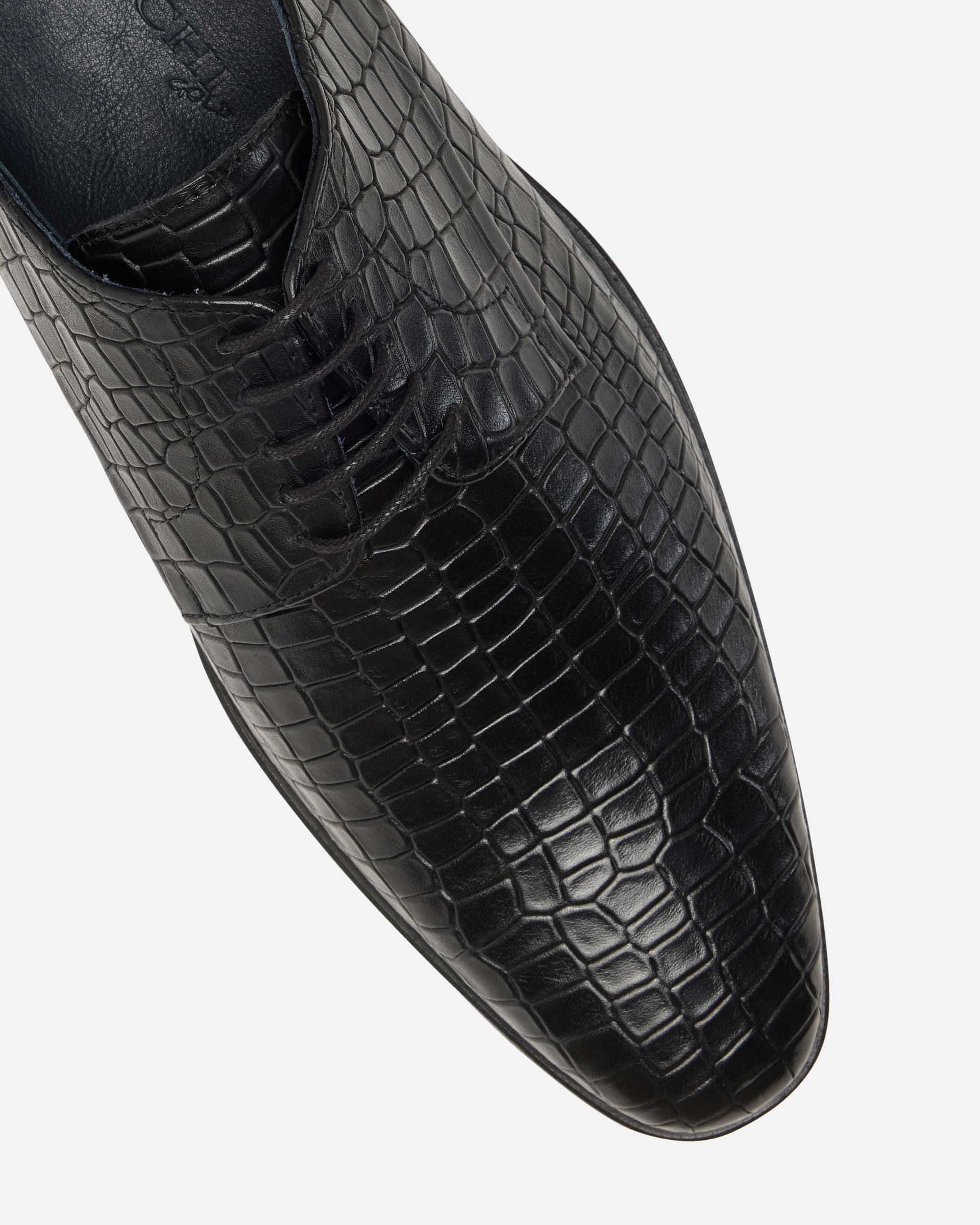 I Maschi Croc Derby Lace Up - Men's Shoes at Menzclub