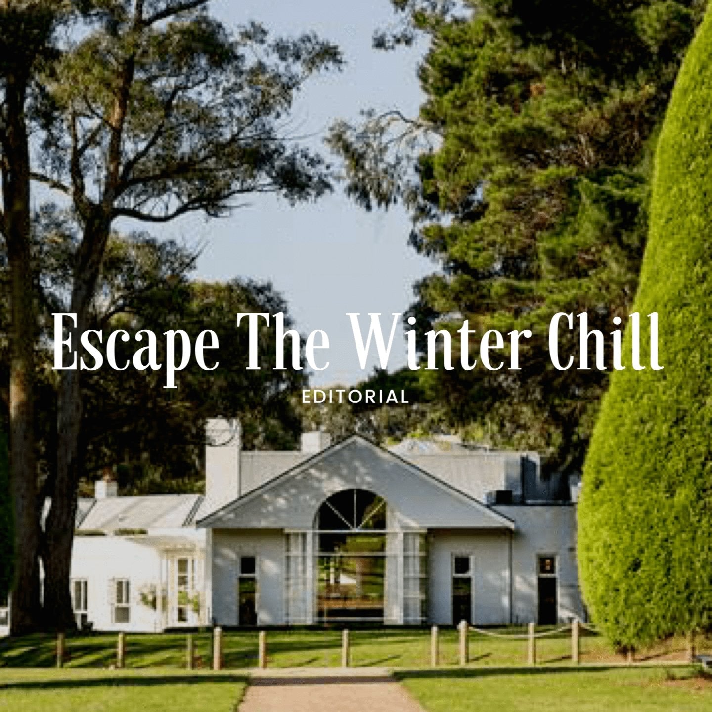 Escape the Winter Chill - Menzclub