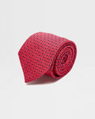 Bardi Silk Tie - Men's Ties at Menzclub